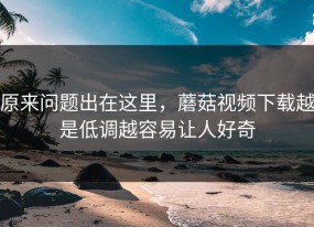 原来问题出在这里，蘑菇视频下载越是低调越容易让人好奇